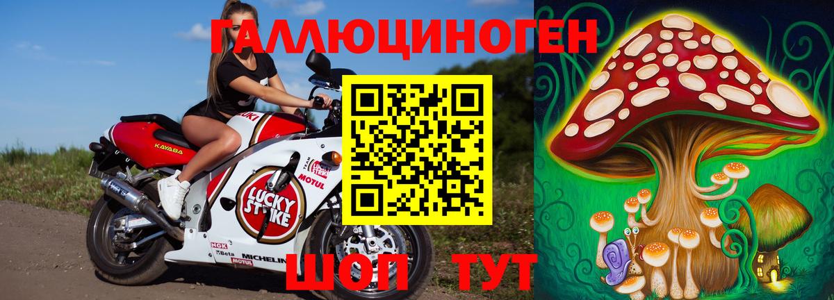 Нарткала  Псилоцибиновые грибы прущие грибы  Вход с VPN 