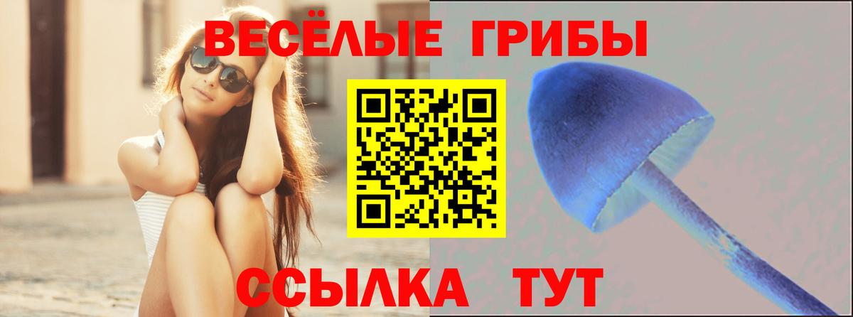 Бошки Шишки Нарткала